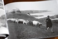 НАМЕРЕНАТА БЪЛГАРИЯ, луксозен фотоалбум 240 фотографии, автор Пейо Колев - НОВА!, снимка 17