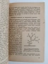 Съдово отглеждане на цитрусовите растения , снимка 2
