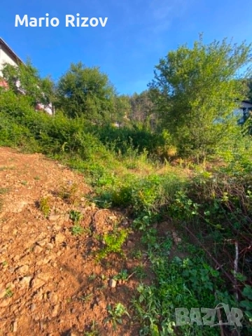 Продава Парцел, Гр. Своге , снимка 3 - Парцели - 54913546