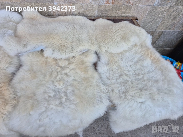 Кожа , снимка 6 - Декорация за дома - 54897208