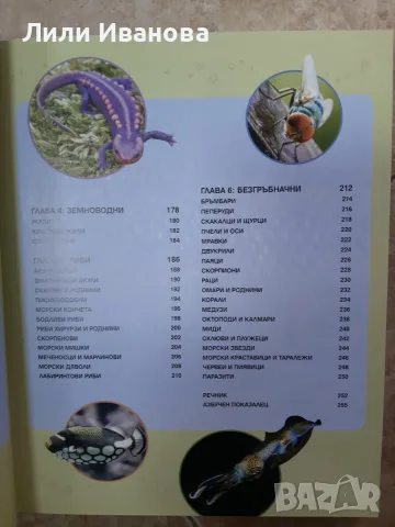 Голяма енциклопедия на ЖИВОТНИТЕ- ПАН, снимка 3 - Детски книжки - 55524033