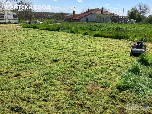 Почистване на нежелана растителност от дворове, парцели, халета, индустриални площи и други., снимка 8 - Други почистващи услуги - 51128398