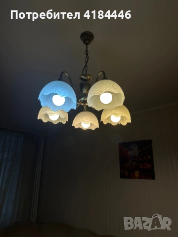 Висящ полюлей София