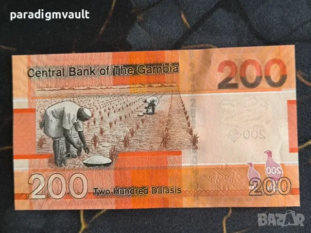 Банкнота - Гамбия - 200 даласи UNC | 2023г., снимка 2 - Нумизматика и бонистика - 55660506