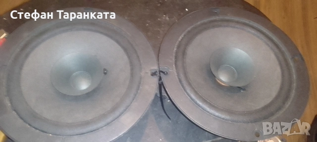 широко лентови говорители 