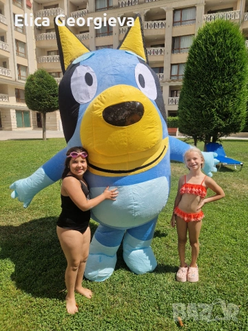 Гига Bluey блуй