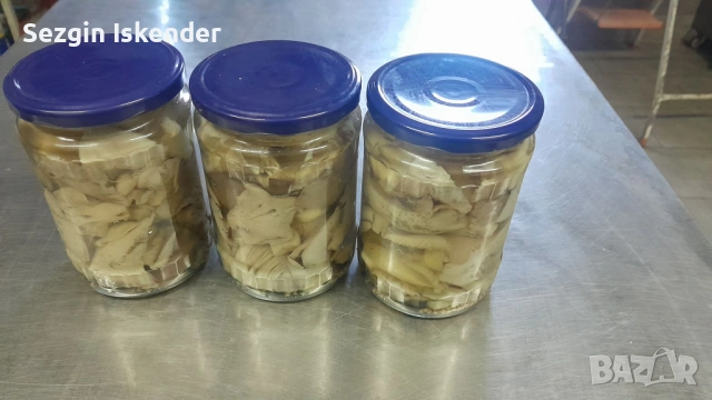   Мед  Букет.Кладница Маринована., снимка 3 - Пчелни продукти - 51578383