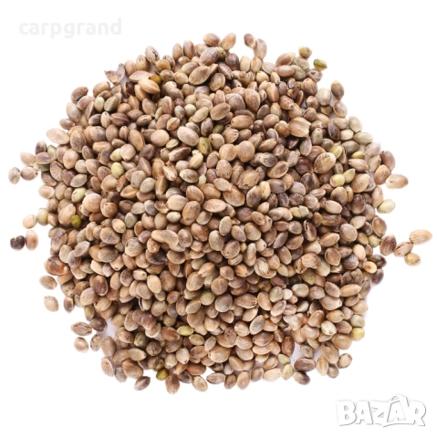 Коноп конопено семе за риболов