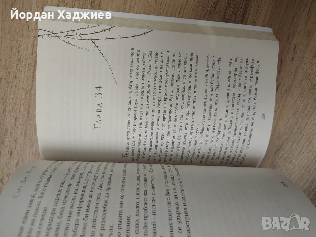 Двор от рози и бодли - Сара Дж. Маас, снимка 3 - Художествена литература - 55646208