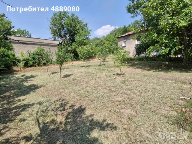 Къща в центъра на Мизия. 4 стаи. Мазе 30кв.м. Конвектори, печки, пералня,хладилник, млада овошка СОТ, снимка 2 - Къщи - 55326524