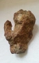 Каменна ръка, снимка 1