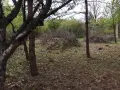 Отличен ПАРЦЕЛ за фамилна къща/вила във вилната зона на с. ЛОЗЕН, снимка 10