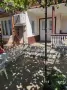 Къща с двор и два самостоятелни входа в гр. Генерал Тошево | Продава се от собственик, снимка 16