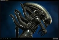 Sideshow Alien фигура статуя колекции , снимка 5