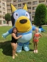 Гига Bluey блуй, снимка 1