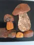 Картина с балтийски кехлибар 9.,0*10,5 см, снимка 2