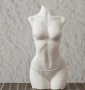 3D женско тяло по бански бельо силиконов молд форма фондан шоколад гипс декор свещ, снимка 2
