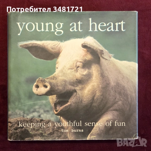Млад по душа / Young at Heart. Keeping a Youthful Sense of Fun