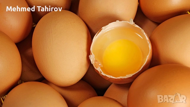 Яйца от свободни кокошки..