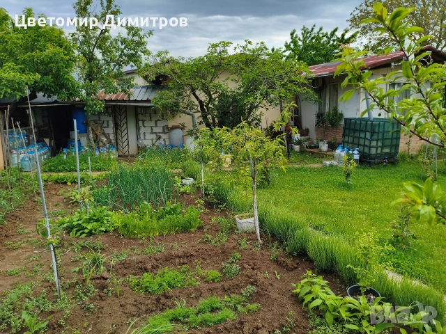 Овощна градина, парцел с вила, вилна зона с.Осеново, местност Сухата чешма, снимка 6 - Парцели - 54674801