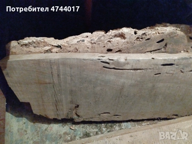 Сухи Талпи от Орех , снимка 14 - Други - 54011466