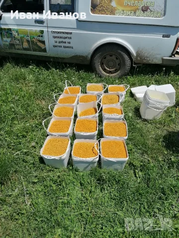 Цветен Прашец / Пчелен прашец15€/кг реколта 2026г, снимка 8 - Пчелни продукти - 55336856