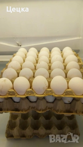 Яйца за консумация