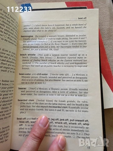 Forbidden American English A Serious Compilation of Taboo American English, снимка 4 - Чуждоезиково обучение, речници - 54979605