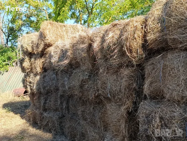 Продавам бали сено, снимка 3 - За селскостопански - 55504211