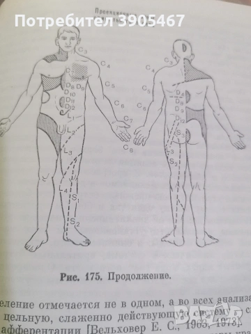 Ирисова диагностика НОВА на руски, снимка 5 - Специализирана литература - 54223125