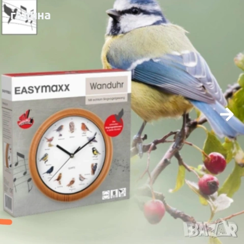 Стенен часовник с птичи песни, 12 мелодии, дървена рамка easymax, снимка 3 - Декорация за дома - 53997498