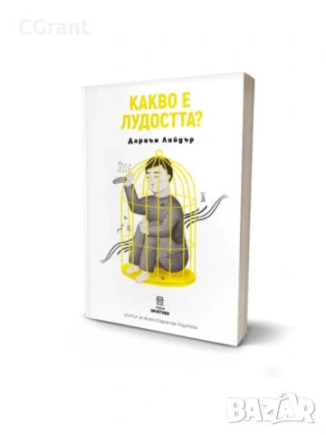 Какво е лудостта? | Дариън Лийдър 