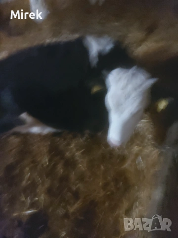 за продажба