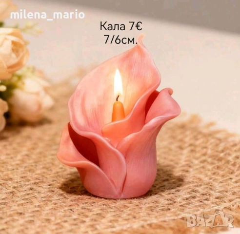 Нови молдове 3, снимка 6 - Други - 54113042