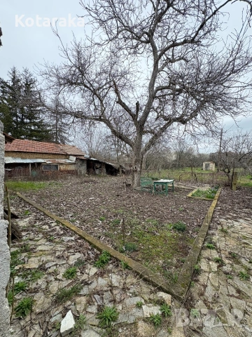 Къща в село Тюркмен, снимка 11 - Къщи - 54734995