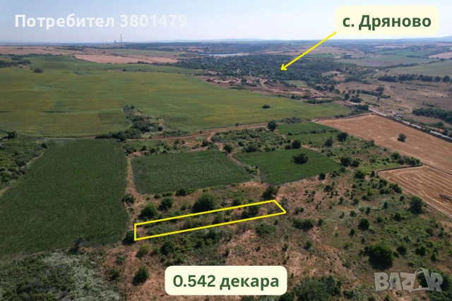 Продавам 20.634 дка земя в село Дряново ВИСОКА РЕНТА, снимка 2 - Земеделска земя - 55259685