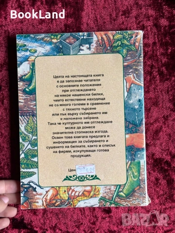 Отглеждане на билки| Колхида, снимка 8 - Други - 54367985