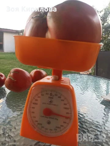 Свежи черита в кутийка , снимка 7 - Домашни продукти - 55347675