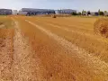  Парцел за промишлено строителство Войводиново, снимка 4