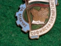 Стара Българска Значка Нагръден Знак За Отличие, снимка 5