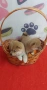 Шиба Ину Shiba inu , снимка 4