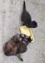 Черно мъжко котенце, снимка 1