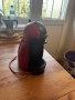 Кафемашина за капсули Dolce gusto, снимка 1