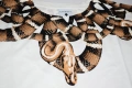 County of Milan - мъжки тениски, размери S , M , L , XL, снимка 3