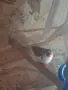 папагали Корели и женски амадин, снимка 2