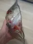 Цветна купа Намаление , снимка 13