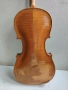 Jacobus Stainer цигулка, снимка 5