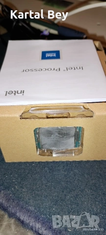 професор интел