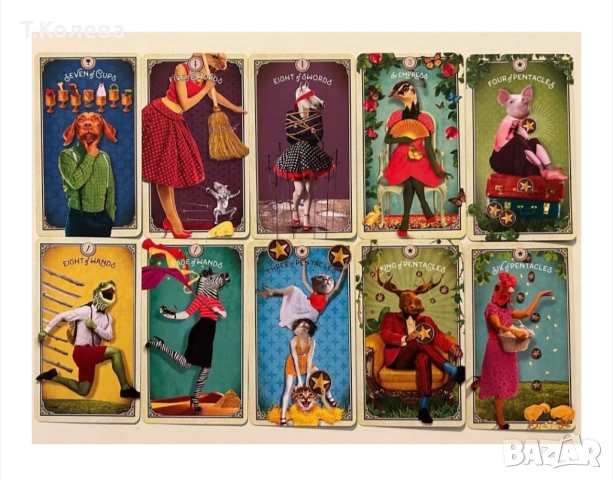 Таро на любопитните същества, снимка 4 - Езотерика - 54270143