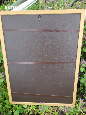 АВТОРСКИ картини с цветя( слънчогледи и макове), снимка 4 - Картини - 54169594